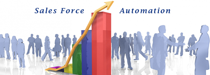 Software development in Sales Force Automation