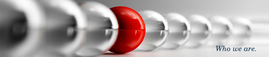¿Quiénes somos?: The Story Behind DJ’s Outsourcing Pvt. Ltd.